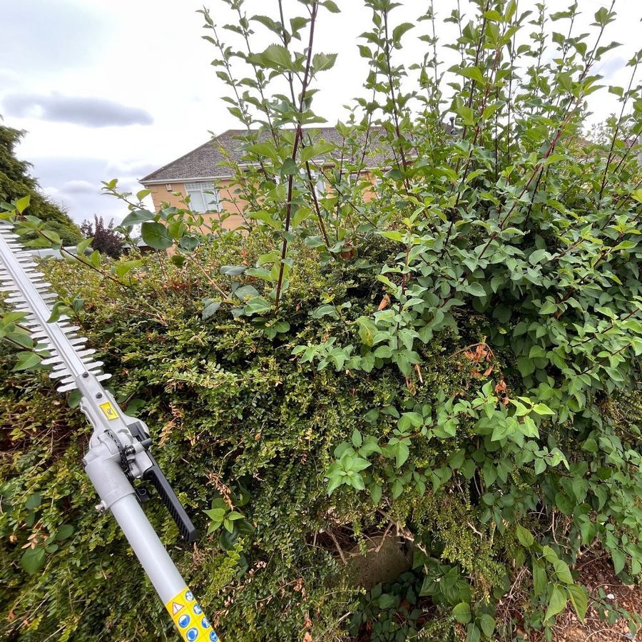 Il multiutensile da giardino che sostituisce tutti gli altri attrezzi