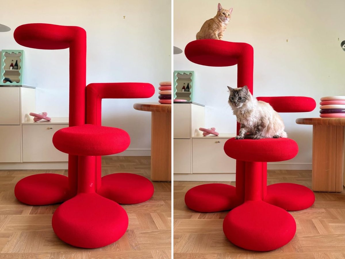 Design per animali: cinque oggetti che rendono la casa più bella e funzionale