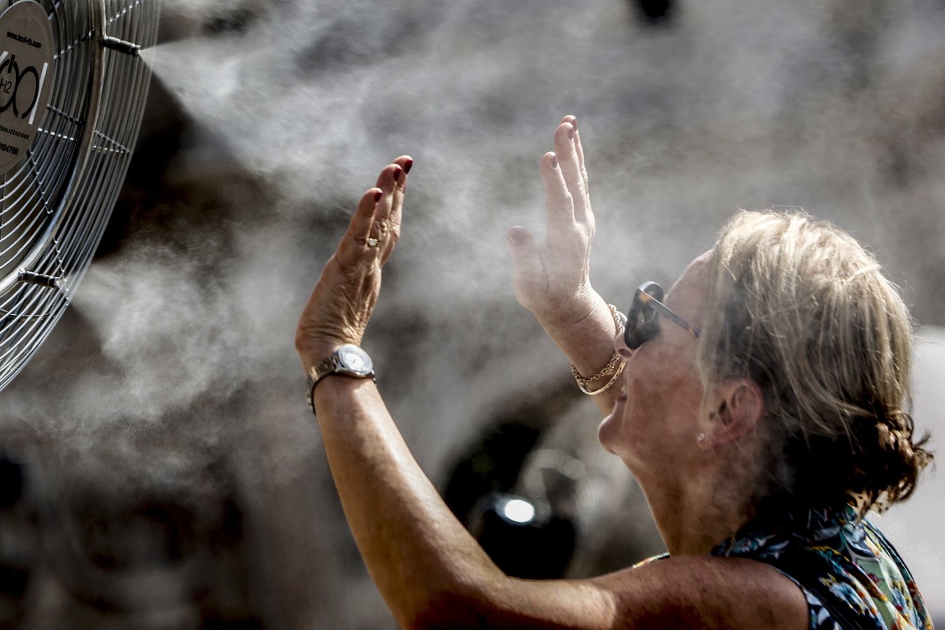 Il caldo estivo favorisce le malattie infettive in Europa, l'allarme dell'ECDC