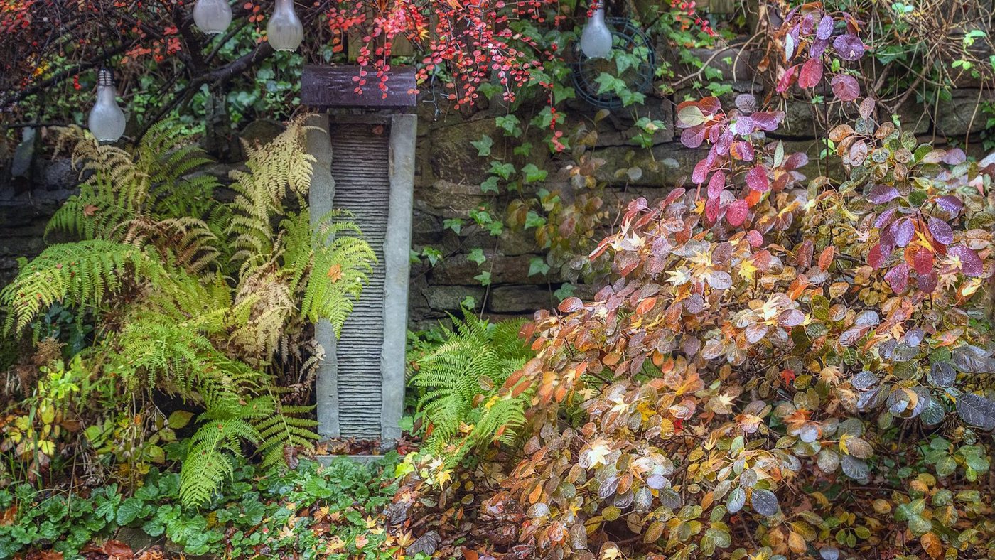 Cosa piantare a novembre per fiorire in primavera e preparare il raccolto del 2027
