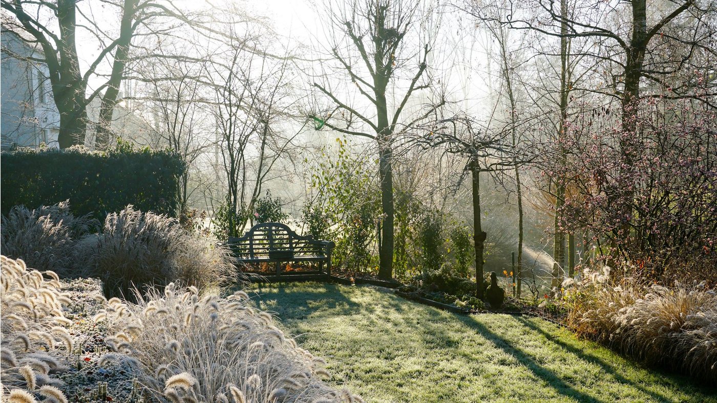 Come preparare il giardino all'inverno: gli attrezzi essenziali per proteggere le piante dal gelo