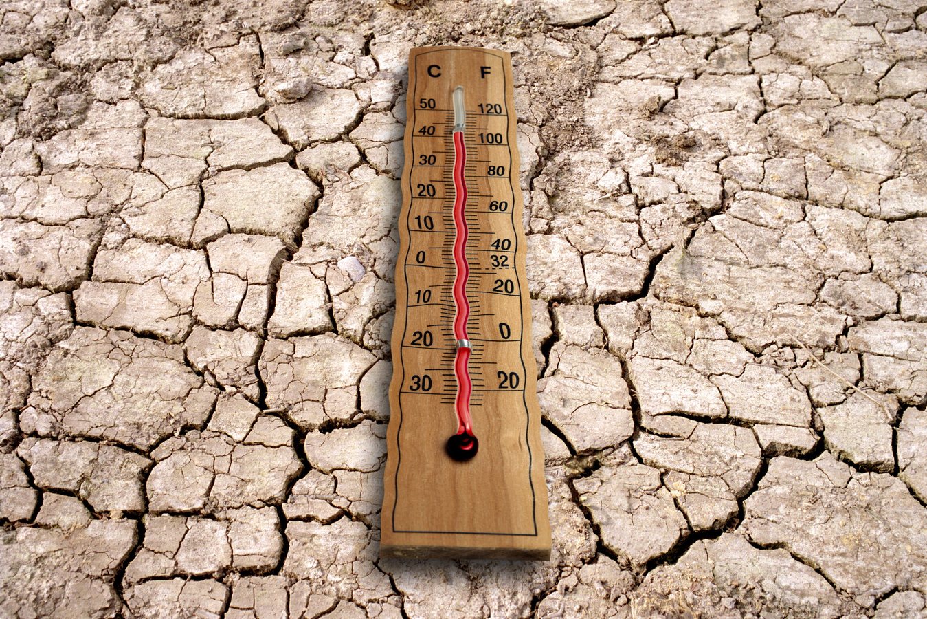 Ondata di caldo, domani bollino rosso in tutte le 27 città monitorate