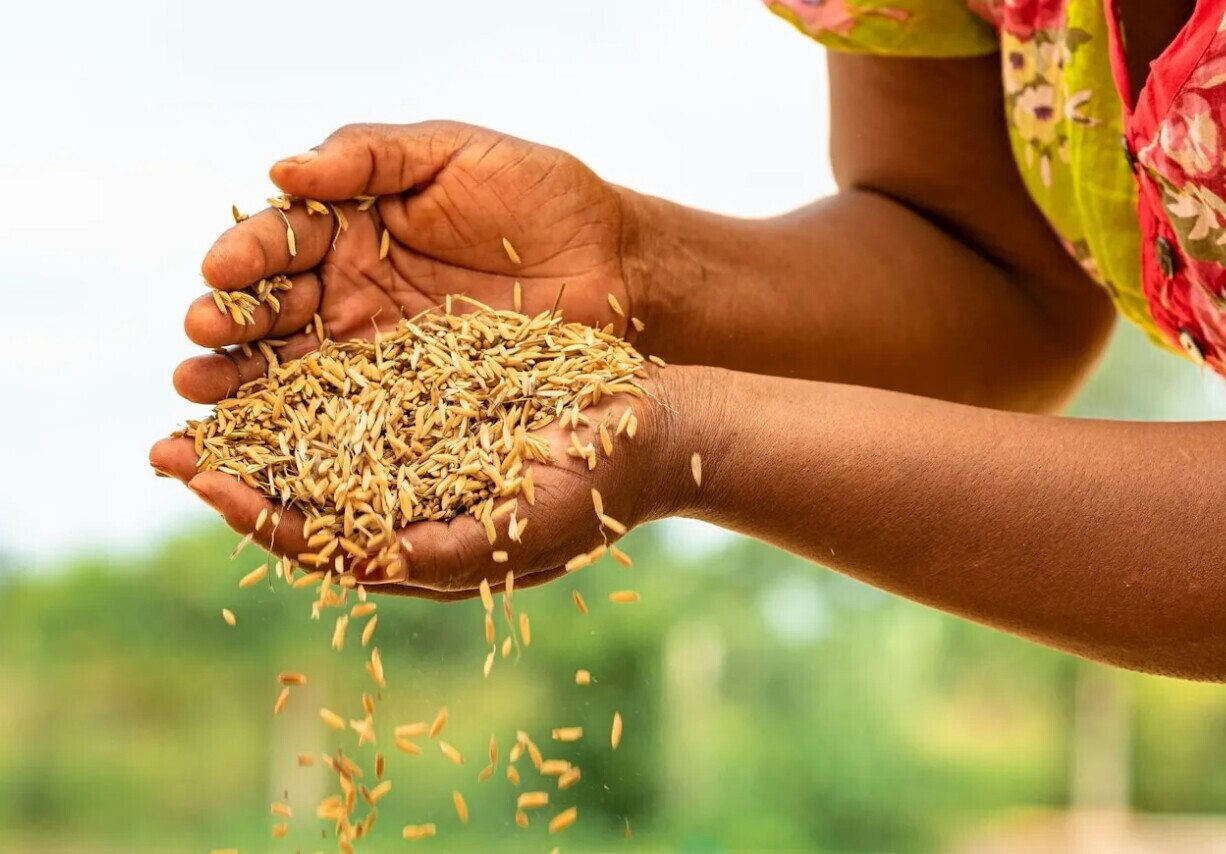 Etiopia accelera sulla meccanizzazione agricola e punta sulla cooperazione con l’Italia