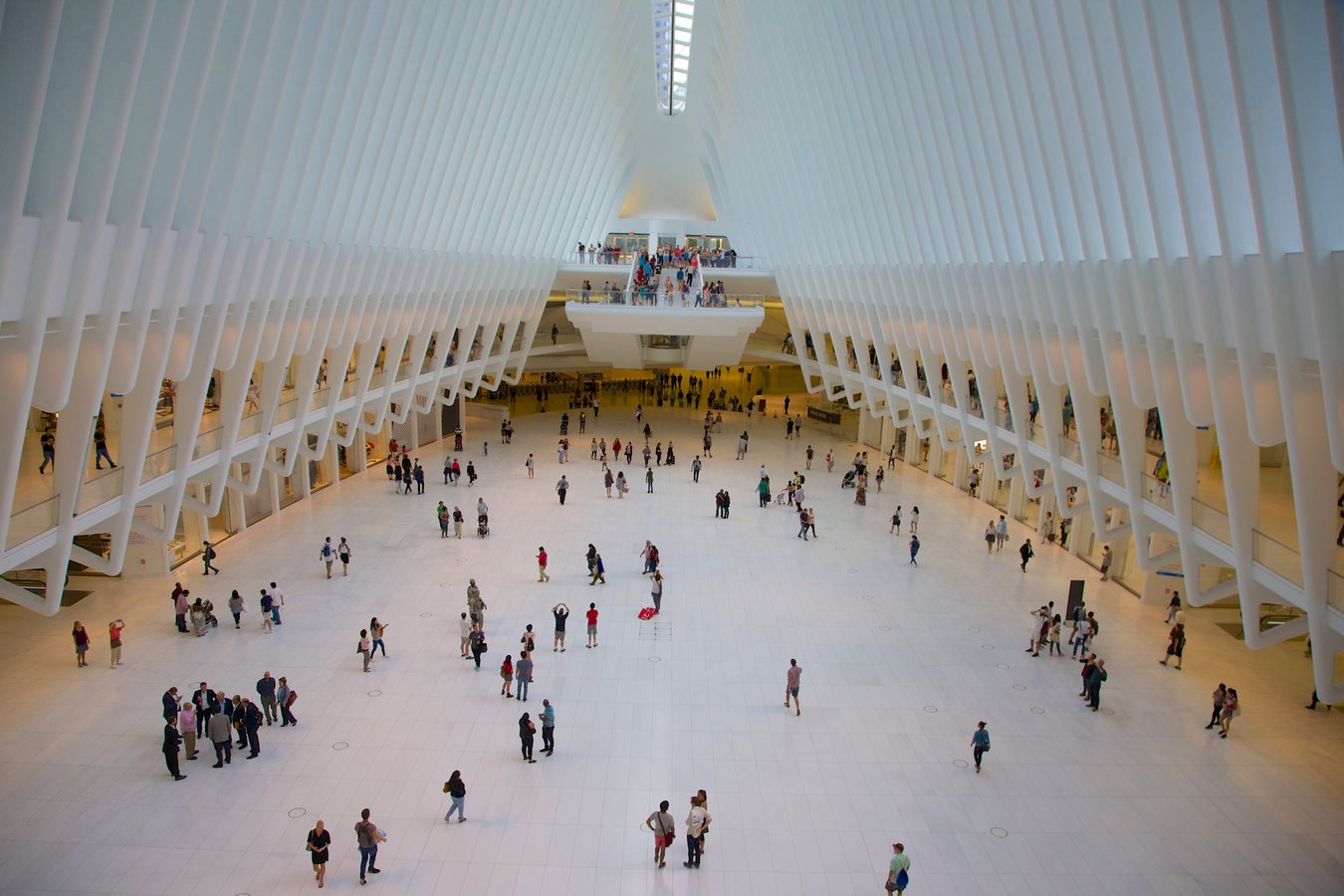 L'Oculus di Calatrava, la stazione più costosa del mondo: 4 miliardi per una cattedrale del futuro