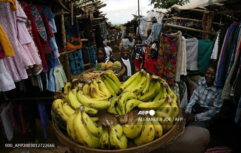 Mozambico, la missione Aics tra agroindustria e sanità a Manica e Sofala